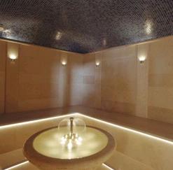 Steam Shower Generators